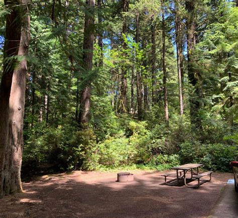 TOP 10 BEST Campgrounds near Florence, OR